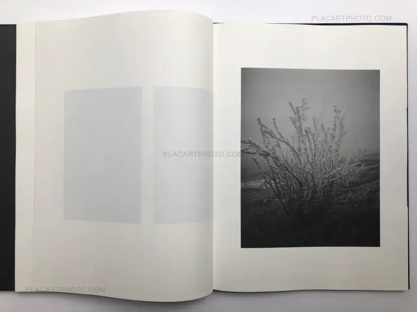 9 GATES OF NO RETURN