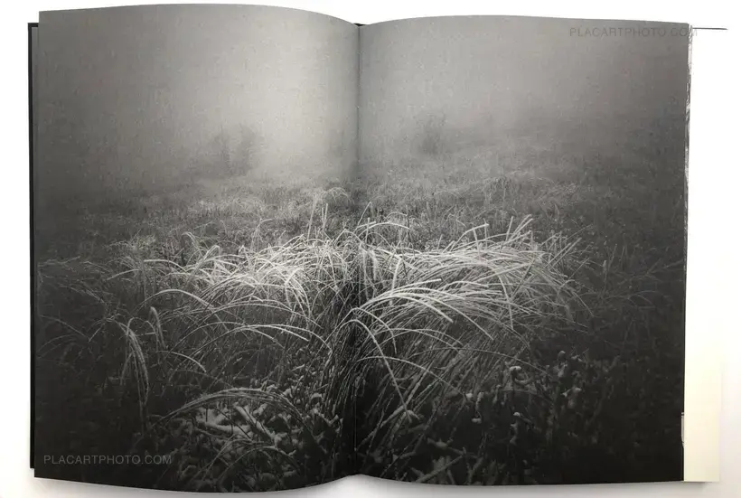 9 GATES OF NO RETURN