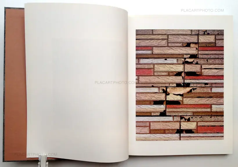 Redheaded Peckerwood