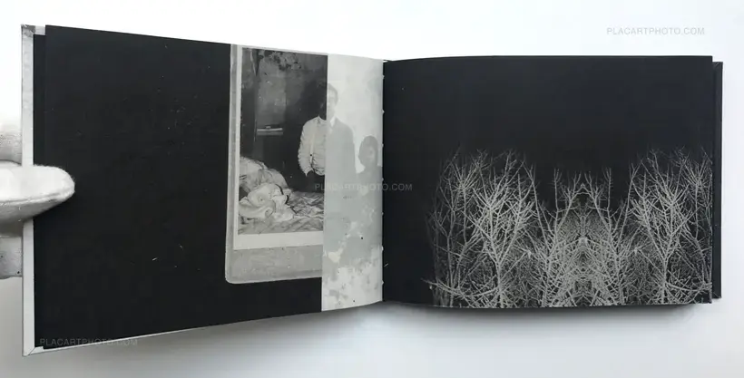 Snowflakes Dog Man (Regular edition Signed)