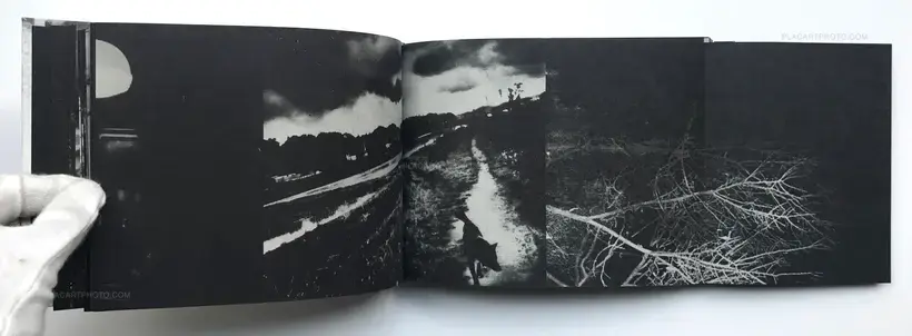 Snowflakes Dog Man (Regular edition Signed)