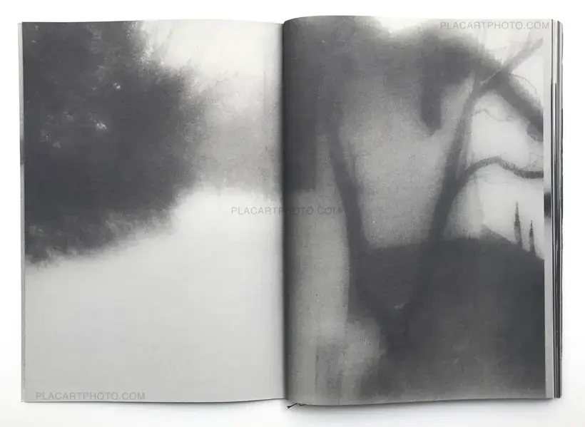 Snowflakes Dog Man (Regular edition Signed)