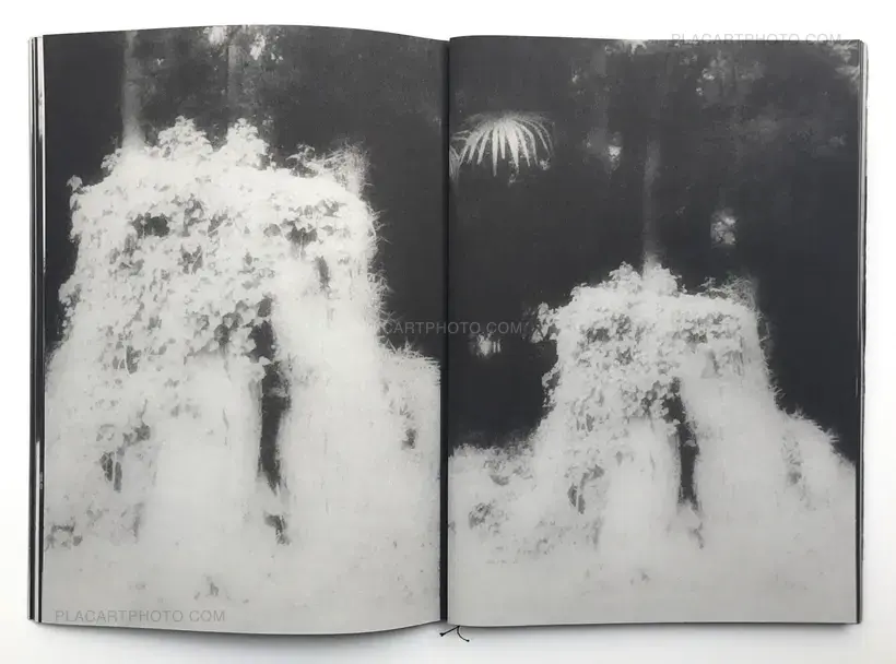 Snowflakes Dog Man (Regular edition Signed)