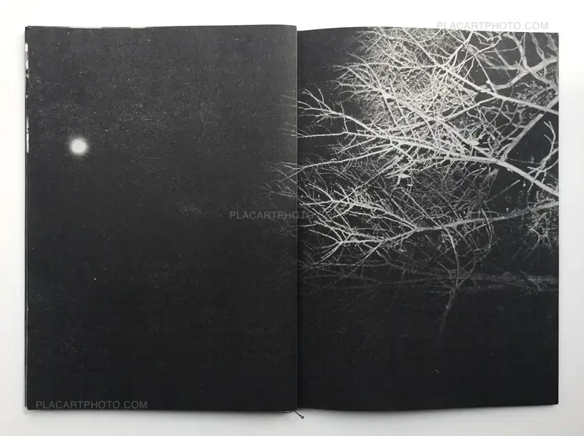 Snowflakes Dog Man (Regular edition Signed)