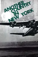 Another country in New York (First edition)