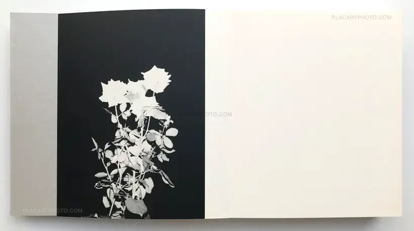 OYSTER (Collector's Edition)