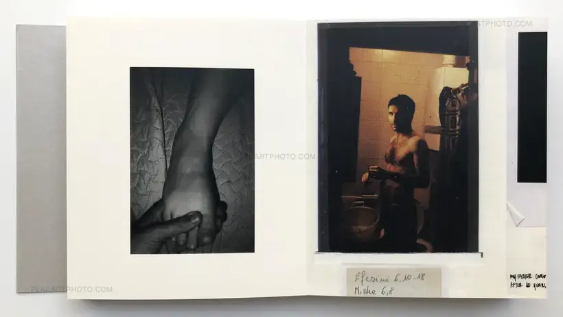 OYSTER (Collector's Edition)