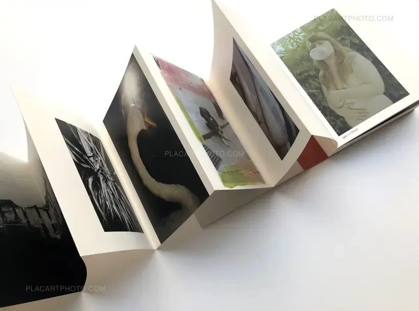 OYSTER (Collector's Edition)