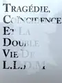 Tragédie Coïncidence Et La Double Vie De L.L.D.M (Signed)
