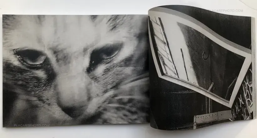 Balloon Position (Signed)