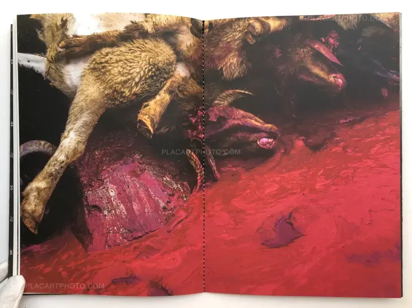 Human Interest Stories (Signed)