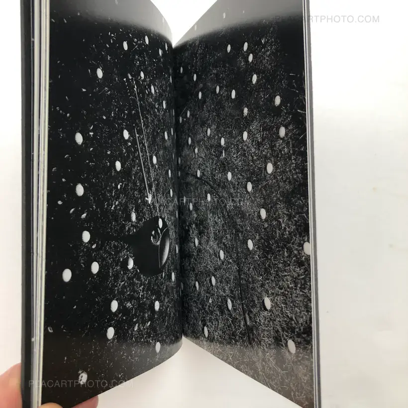 BEDKNOBS and BROOMSTICKS