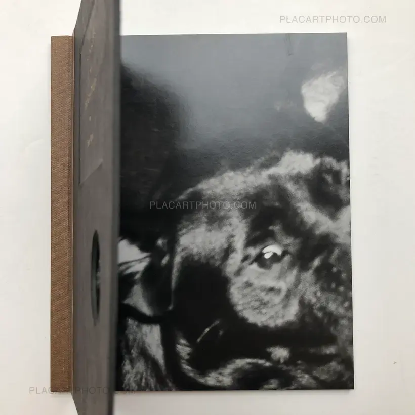 BEDKNOBS and BROOMSTICKS