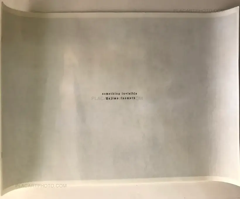 Something Invisible (Signed and numbered to 100 copies)