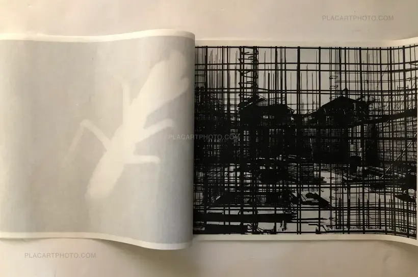 Something Invisible (Signed and numbered to 100 copies)