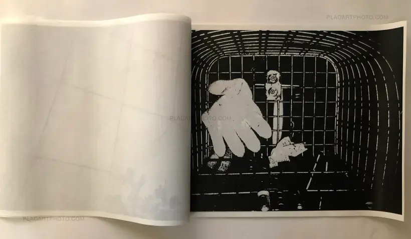 Something Invisible (Signed and numbered to 100 copies)