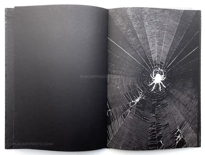 Eclipse | First Quarter (Limited Edt of 200)