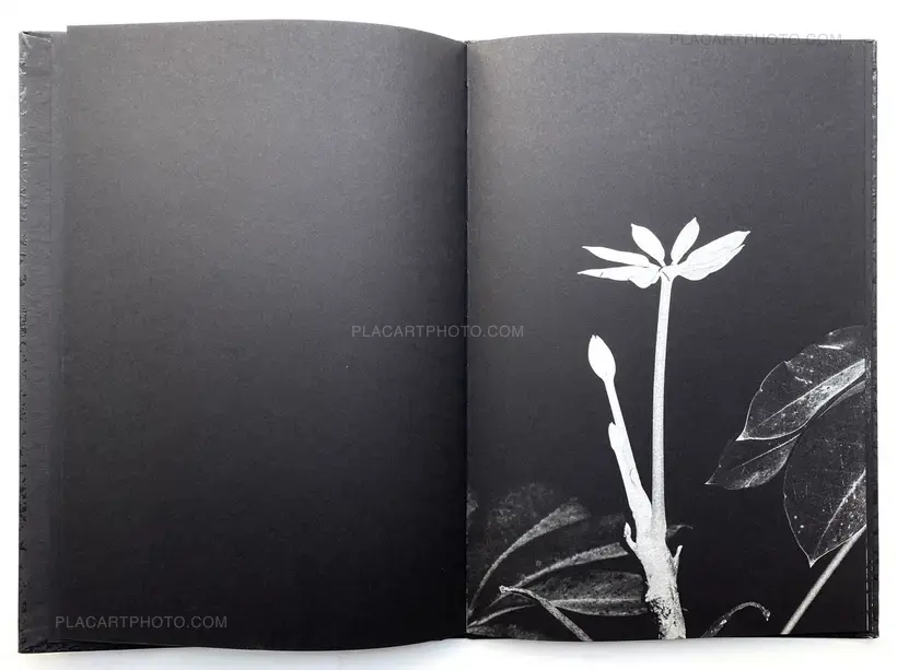 Eclipse | First Quarter (Limited Edt of 200)