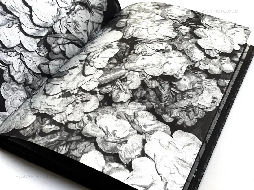 Eclipse | First Quarter (Limited Edt of 200)