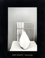 Camps Disciplinaires (Signed and numbered)