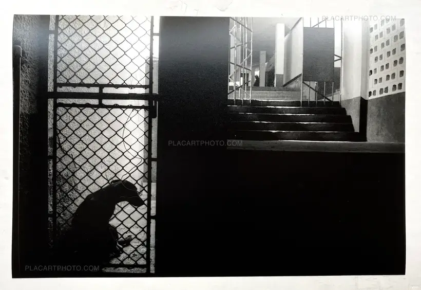 Camps Disciplinaires (Signed and numbered)