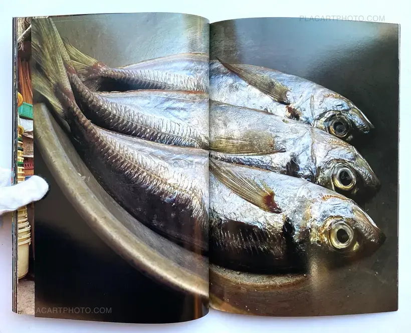 Chihei 10 (Signed copy by Shunji Dodo)