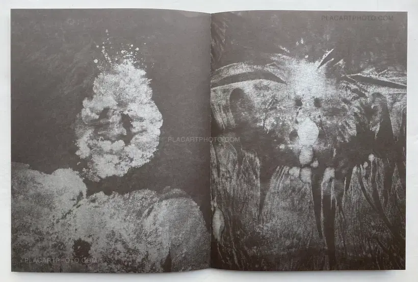 Sweat (Signed and numbered)