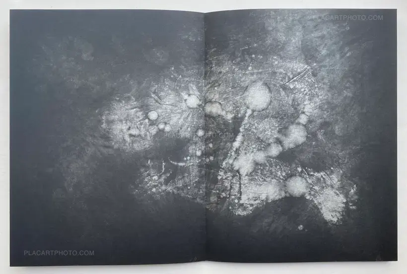 Sweat (Signed and numbered)