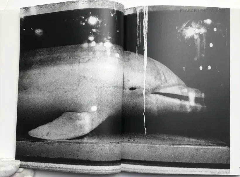 Europea (Special edition with print)