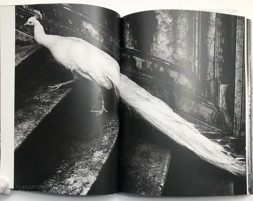 Europea (Special edition with print)