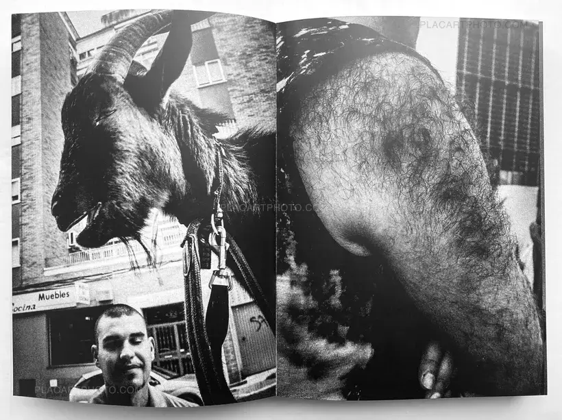 Sizigia (signed copy)