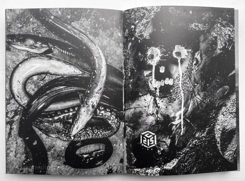 Sizigia (signed copy)