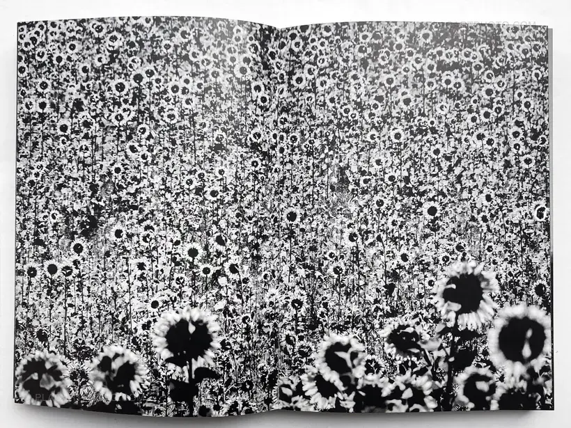 Sizigia (signed copy)