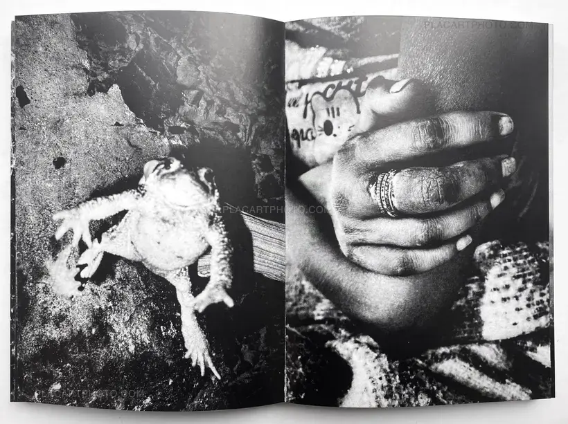 Sizigia (signed copy)