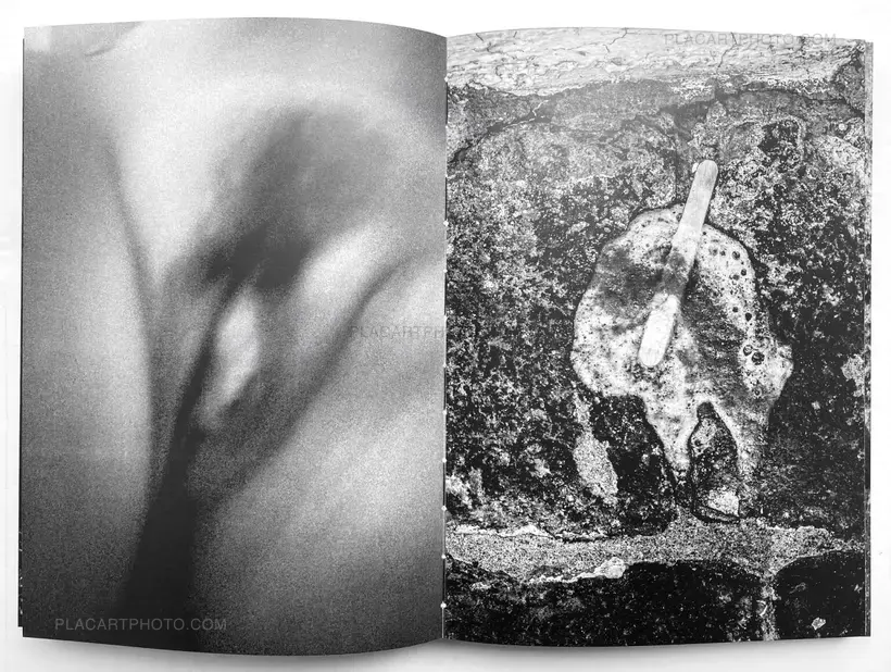 Sizigia (signed copy)