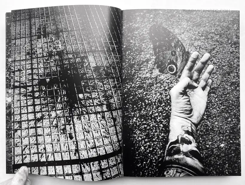 Sizigia (signed copy)