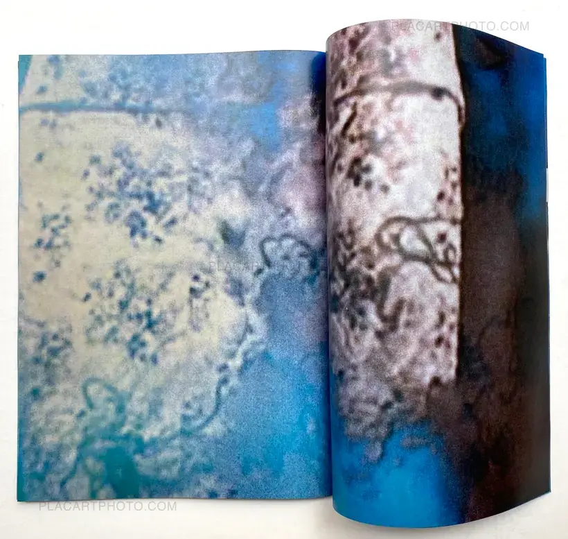 Room/ Rabbit (Signed)