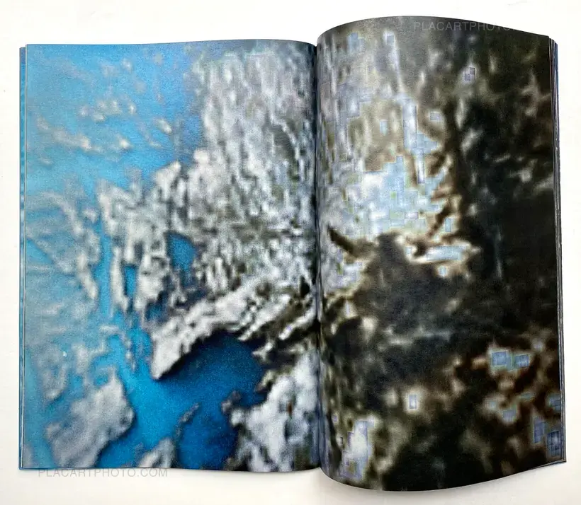 Room/ Rabbit (Signed)