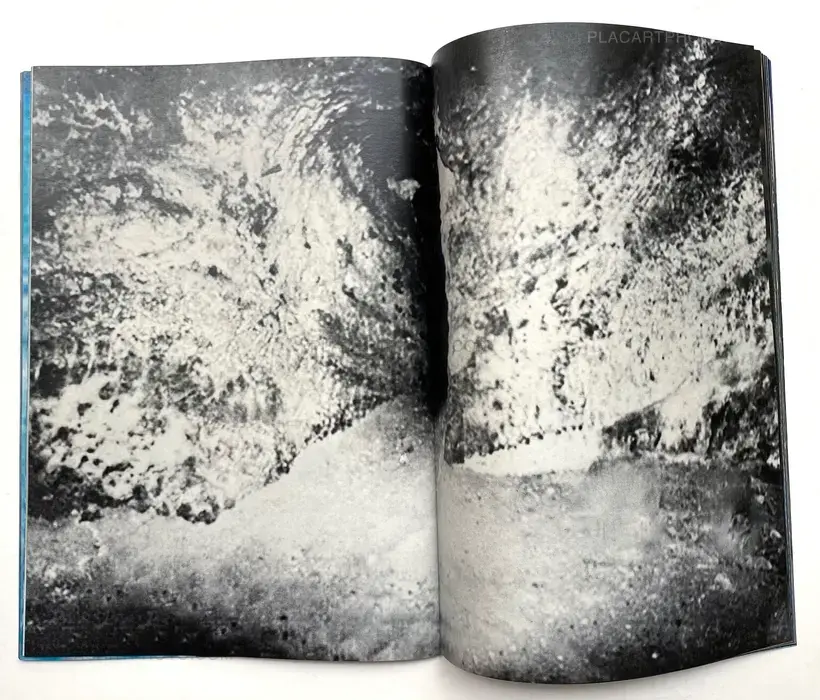 Room/ Rabbit (Signed)