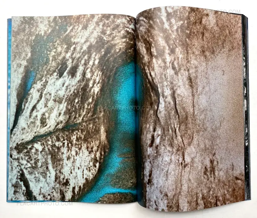 Room/ Rabbit (Signed)