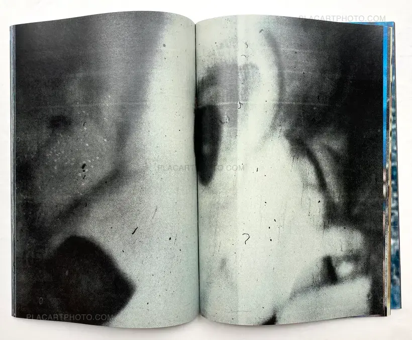 Room/ Rabbit (Signed)