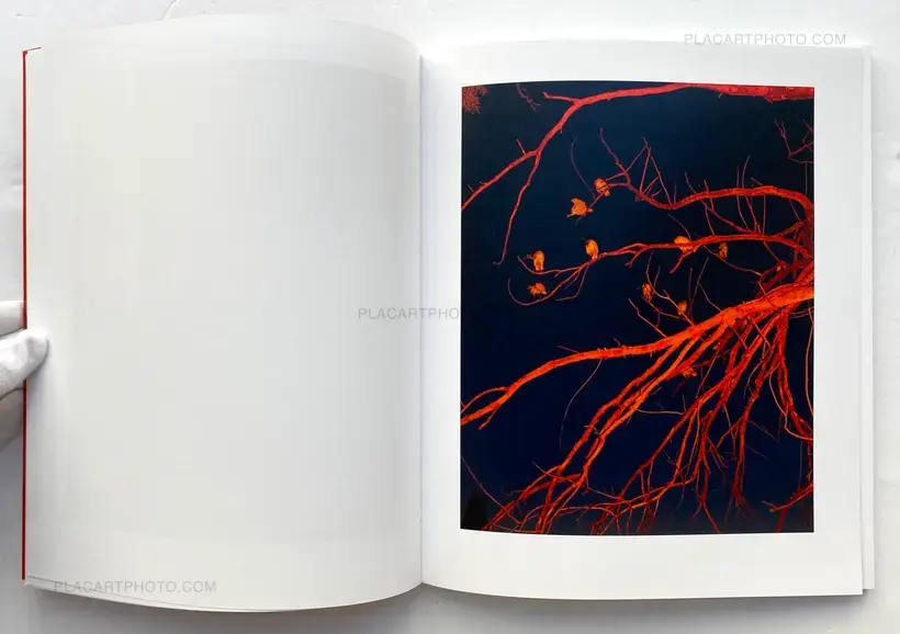 Like Stains of Red Dirt