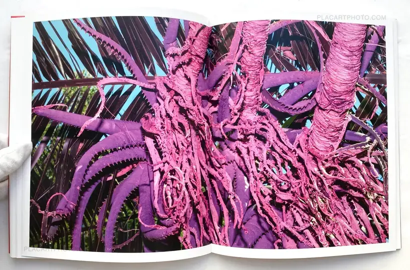 Like Stains of Red Dirt