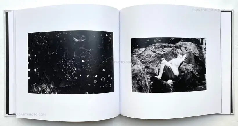 Through A Vulnerable Occur