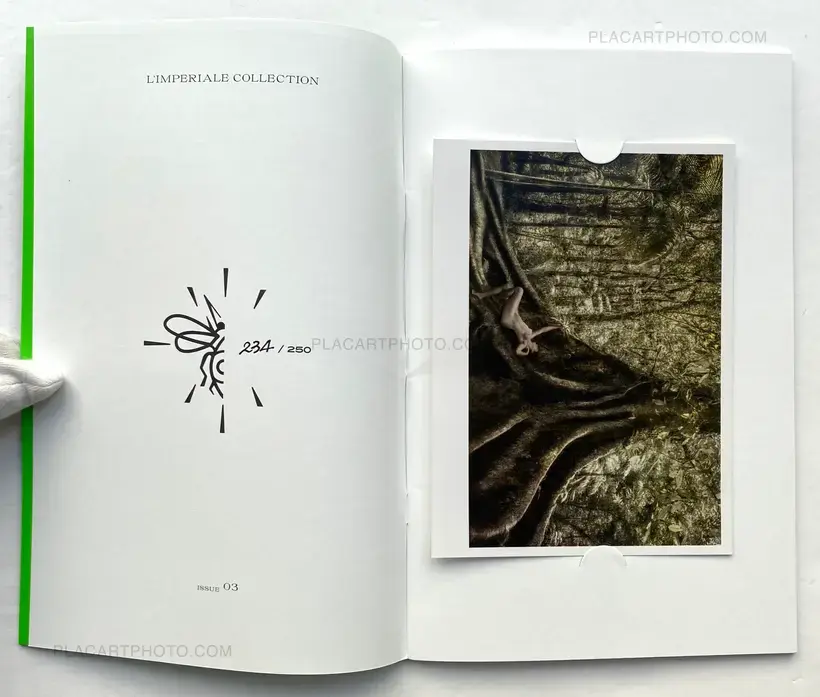 Dryads and Fauns (Limited Edition 250 Copies + signed C print)