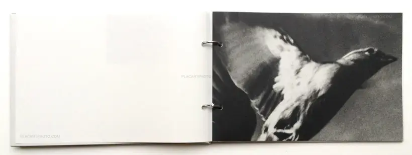 I wish to see where the winds meet (With a gravure print)