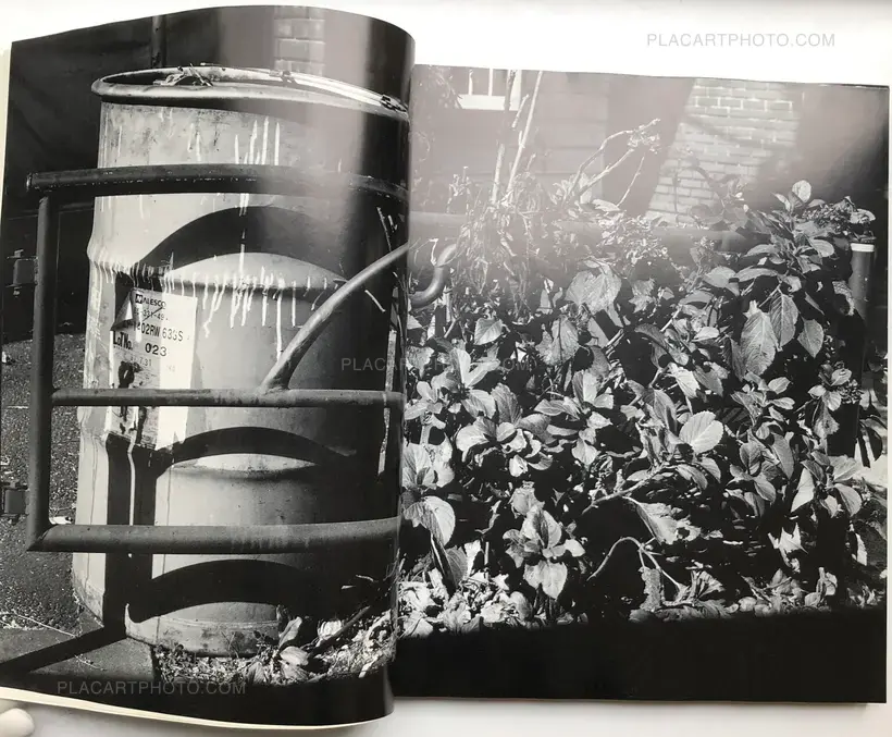 Ryuseki (flowing Stones)