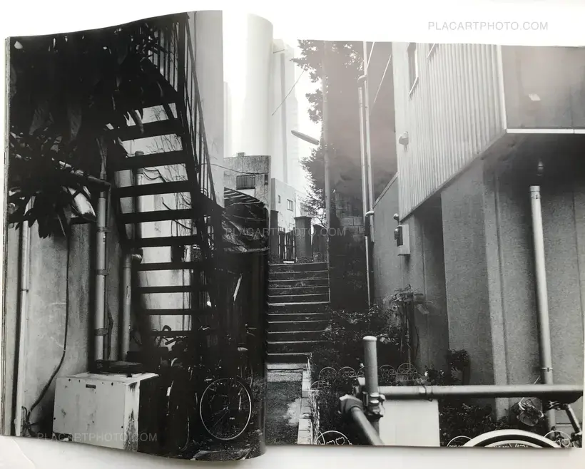 Ryuseki (flowing Stones)