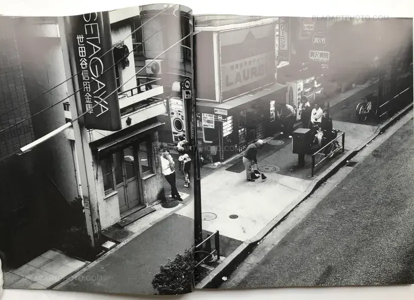 Ryuseki (flowing Stones)