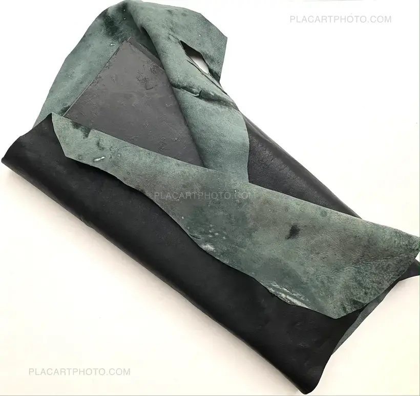 THE GRAY LINE (ARTIST'S EDITION OF 11)